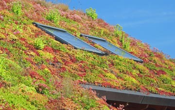 Three Chimneys living roof systems